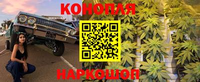 гидра Свободный
