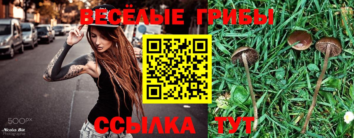 Псилоцибиновые грибы мицелий Рославль