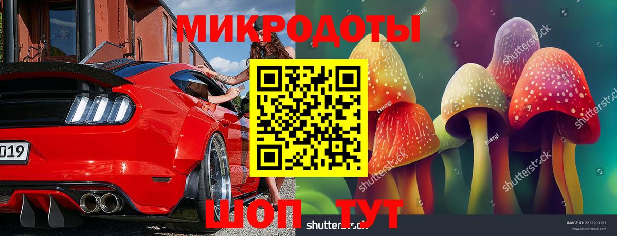 Галлюциногенные грибы Psilocybe  Вход с VPN  Рославль 